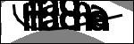 متن برای شناسایی
