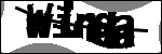 متن برای شناسایی
